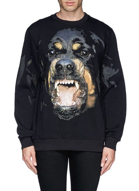 rottweiler sweatshirt givenchy|givenchy rottweiler shirt price.